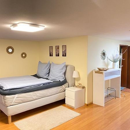 Ruhiges Privates Zimmer In Freiburg, Zentrumsnah, Naehe Europapark ภายนอก รูปภาพ